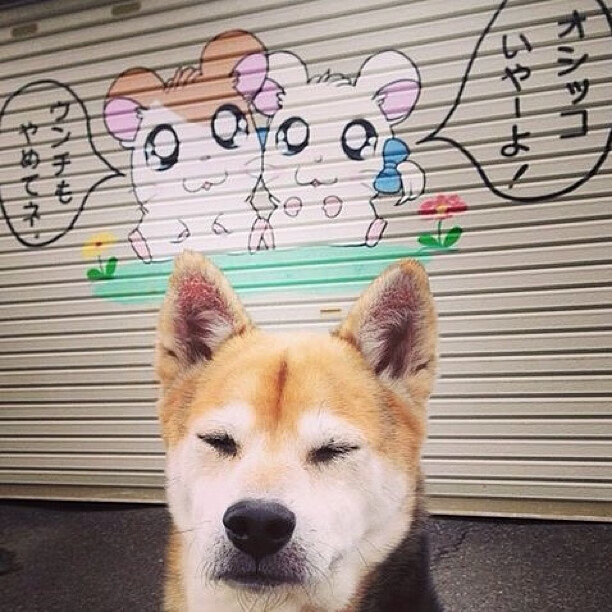 赛道上的独舞者,穆勒在F1街道赛之夜的加冕